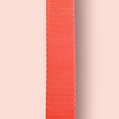 Halsband | Hochwertig | stufenlos verstellbar | Nylon | Hundehalsband | Hunde führen | spazieren