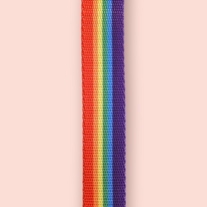 Halsband | Hochwertig | stufenlos verstellbar | Nylon | Hundehalsband | Hunde führen | spazieren