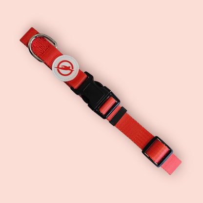 Halsband | Hochwertig | stufenlos verstellbar | Nylon | Hundehalsband | Hunde führen | spazieren